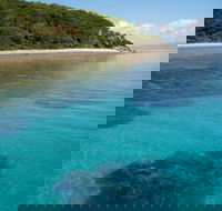 Remote Area Dive - Internet Find
