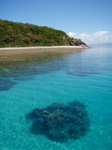 Remote Area Dive - Internet Find 0