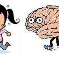 Career Counselling Mackay QLD Internet Find