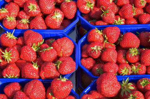 DJ’s Wholesale Fruit Market & Ezy Peel - Internet Find 3