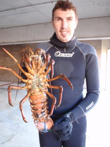 Spear & Fish Downunder - Internet Find 1
