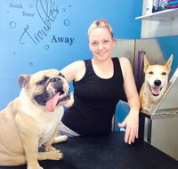 Bark n Bath Alice Springs Pet Grooming - Internet Find