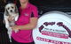 All Dogs Grooming - thumb 2