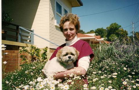 Clip ‘n’ Clean Dog Grooming - Internet Find 1