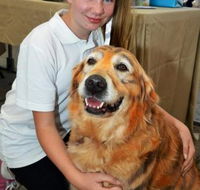Eumundi Pet Grooming - Internet Find