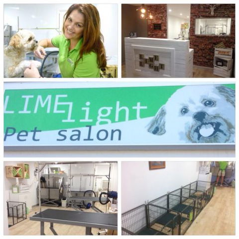 Limelight Pet Salon - Internet Find 0