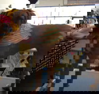 Paws At Port - Internet Find