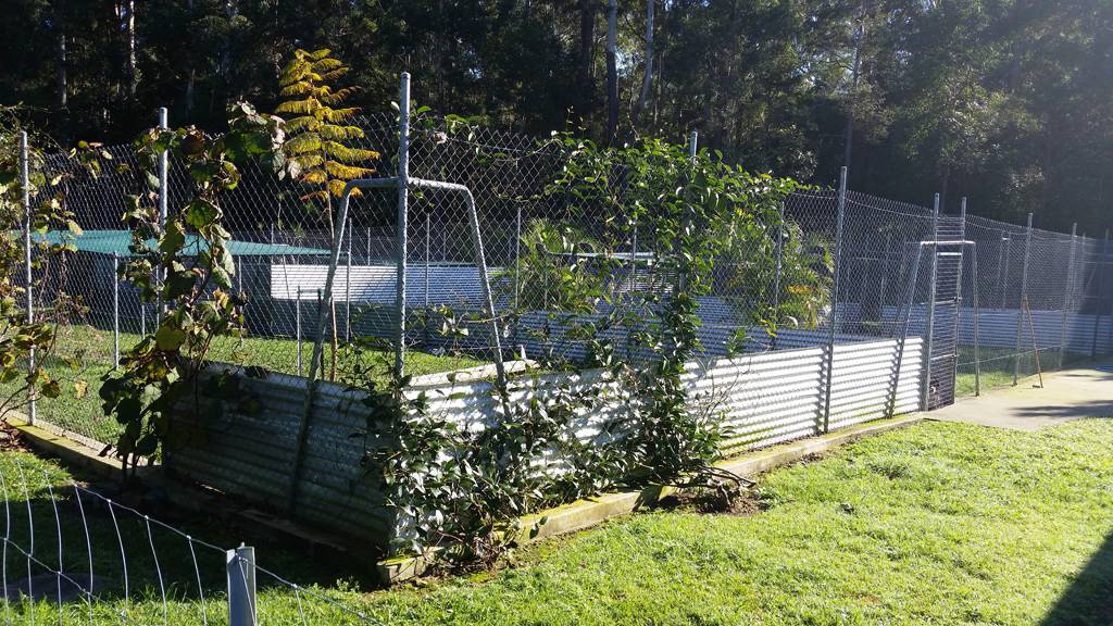 Dog Boarding Kennels Moonee Beach NSW Internet Find