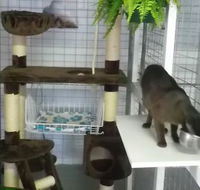 Cluden Pet Motel - Internet Find
