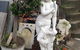 Sullivans Stone & Garden Art - thumb 1