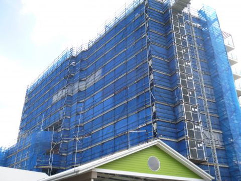 BFB Scaffolding - Internet Find 3