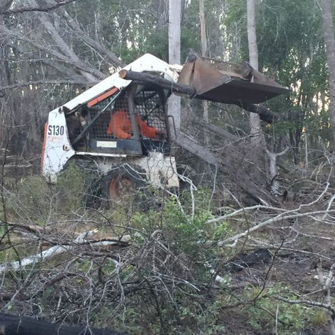 Greg Thompson Earthmoving - Internet Find 1