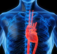 Achieve Exercise Physiologists - Internet Find