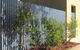 Trojon Fencing - thumb 12