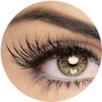 Beauty Schools Internet Find