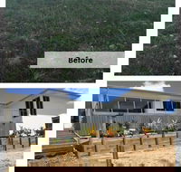 Leaf Wood Rock Landscapes - Internet Find