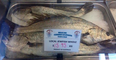Wallis Lake Fishermen’s Co–operative Ltd - Internet Find 1