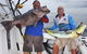 Gold Coast Fishing Tackle - thumb 2