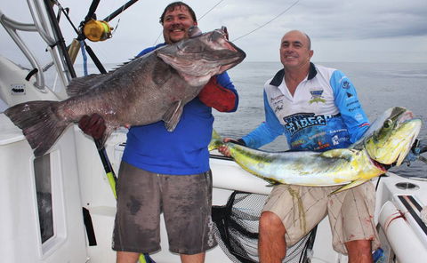 Gold Coast Fishing Tackle - Internet Find 2