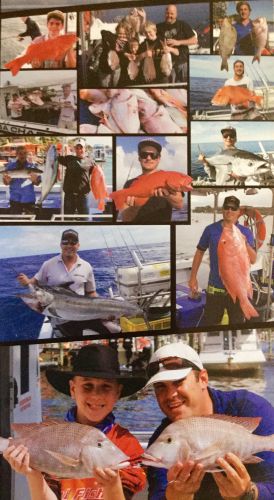 Noosa Charters - Internet Find 2
