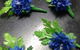 Hot Poppyz Florist - thumb 1