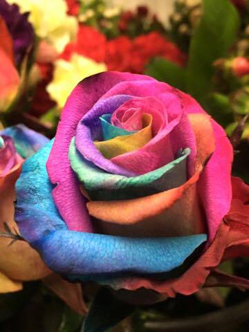 Hot Poppyz Florist - Internet Find 3