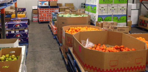 Central Fruit & Vegetable Wholesalers Pty Ltd - Internet Find 0