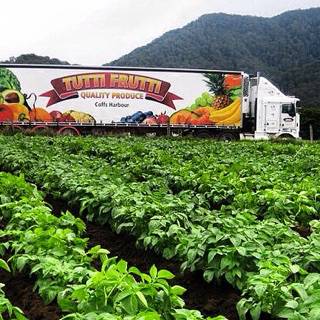 Tutti Frutti Wholesale - Internet Find 1