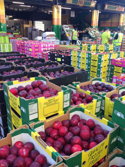 Tutti Frutti Wholesale - Internet Find 3