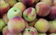 Vegies Unlimited - thumb 2