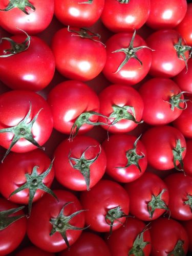 Caloundra Fruit & Veg Market - Internet Find 0