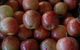 Caloundra Fruit & Veg Market - thumb 1