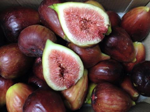 Caloundra Fruit & Veg Market - Internet Find 2