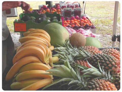 Maluka Produce–Fruit & Veg Wholesale/Retail - Internet Find 0