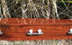 Dolphin Funerals - thumb 1
