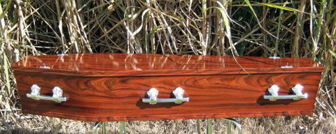 Dolphin Funerals - Internet Find 1