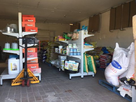 The Green Shed - Internet Find 1