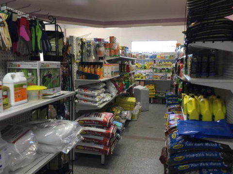 The Green Shed - Internet Find 3