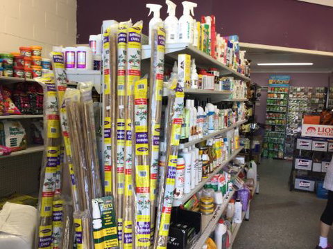 The Green Shed - Internet Find 4