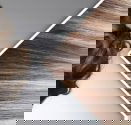 Aristocut Hair Design - Internet Find