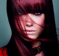 Lush Hair - Internet Find