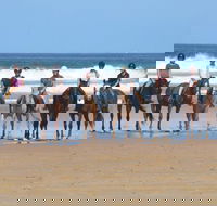 Causeway Equestrian - Internet Find
