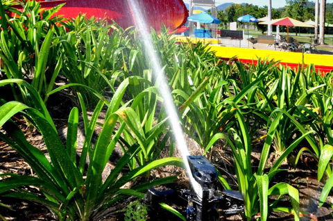 Tropical Irrigation Services - Internet Find 3