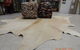 The Rug Gallery - thumb 2