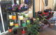 Bundaberg Landscape Supplies - thumb 1