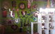 Bundaberg Landscape Supplies - thumb 2
