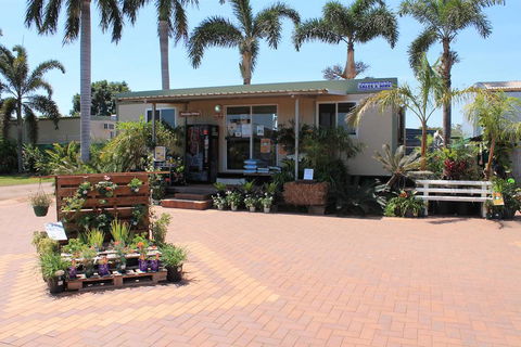 Paradise Nursery - Internet Find 0