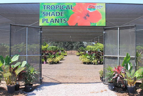 Paradise Nursery - Internet Find 2