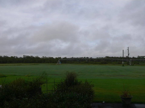 Bay Turf - Internet Find 0