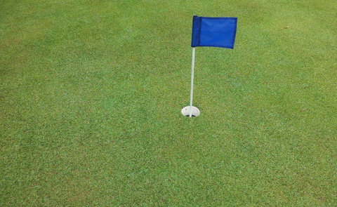 Bay Turf - Internet Find 1